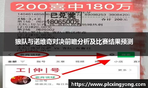 狼队与诺维奇对决前瞻分析及比赛结果预测